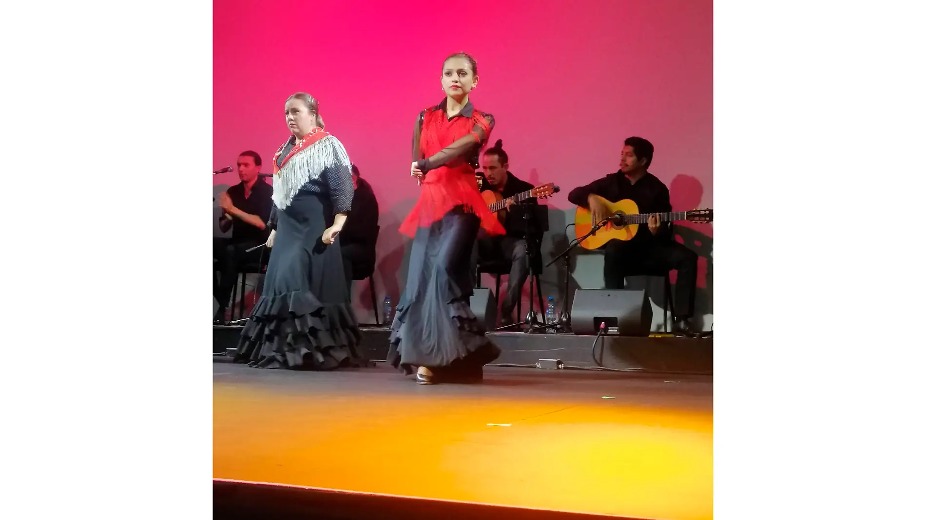 FLAMENCO 3.1